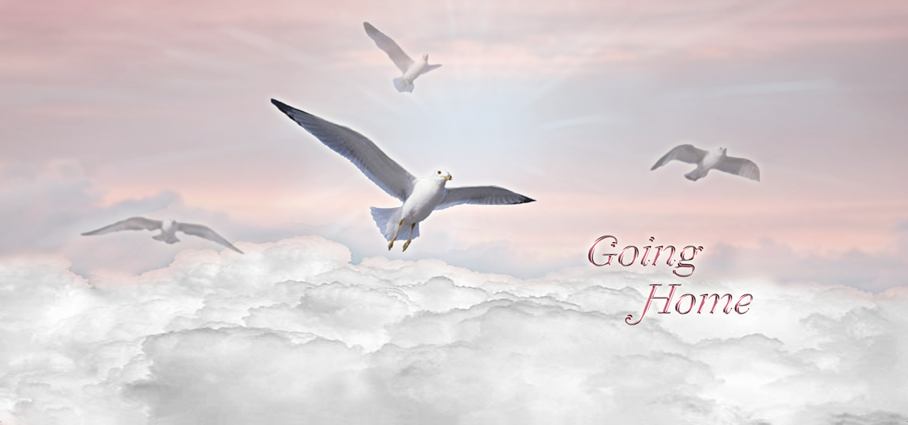 Going Home Clouds Pink